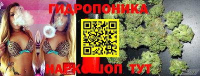 стаф Комсомольск-на-Амуре