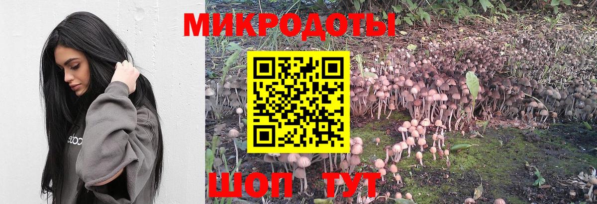 Галлюциногенные грибы мицелий Конаково