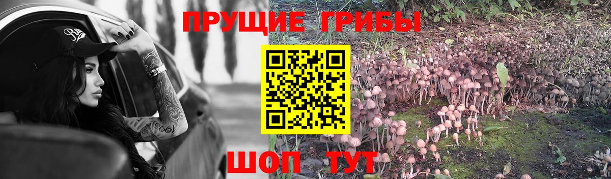 Псилоцибиновые грибы GOLDEN TEACHER  Вход с VPN  Конаково 